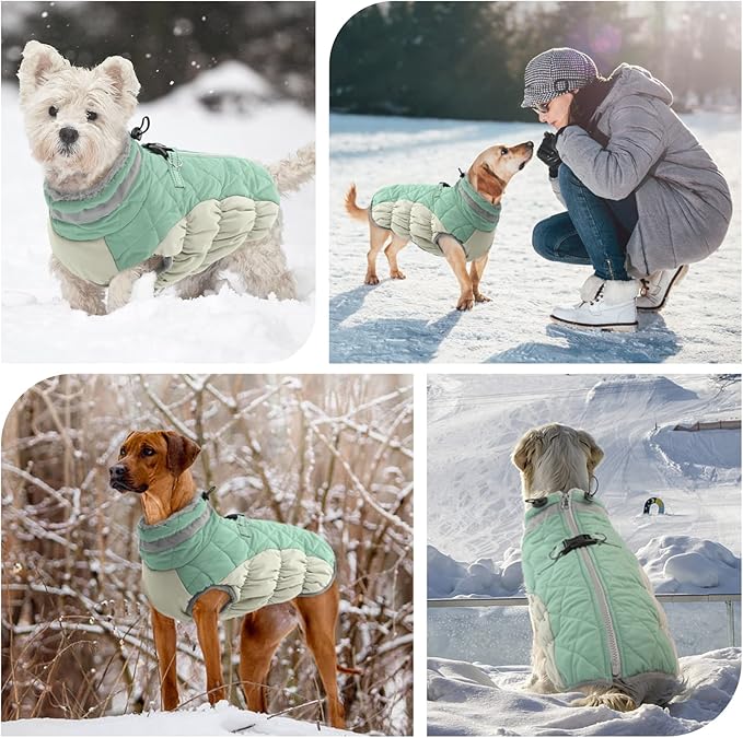 FUAMEY Dog Winter Jacket, Padded Dog Vest with Harness, Water Resistant Coat for Small to Large Dogs, Mint Green XS