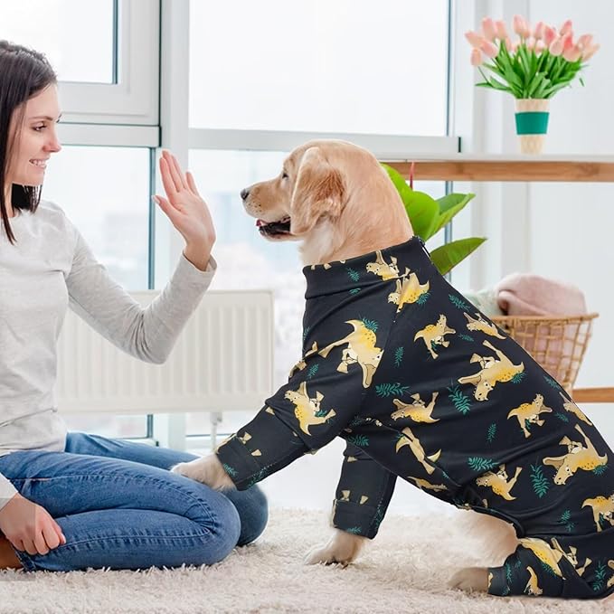 IDOMIK Dog Pajamas,Soft Dog Pjs Clothes with Zipper,Breathble Dog Shirts for Boys Girls,Dog Apparel Shirt Onesie,Dog Recovery Suit for Small Medium Large Dogs,Dog Anxiety Relief Onesies Darkgray,M