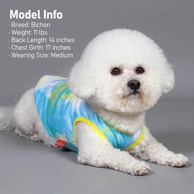 KYEESE 2 Pack Dog Cooling Shirts for Large Dogs Breathable Instant Dog Cooling Vest for Summer Quick Dry Lightweight Sleeveless Vest Soft Cooling Shirts for Outdoor Activities on Summer