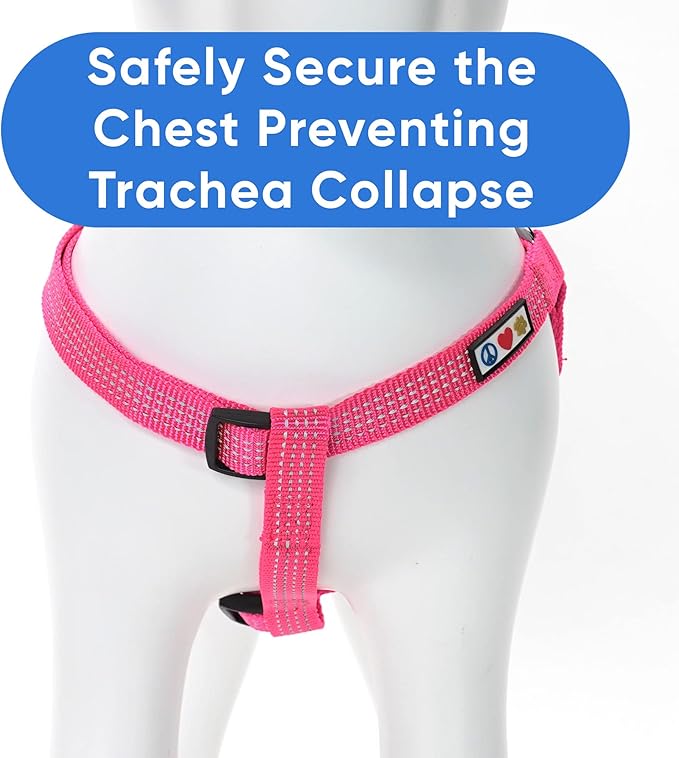 Pawtitas Dog Harness Medium Sized Dog Pink Dog Harness Step in from a Senior Dog to a Puppy Harness Adjustable Reflective Dog Harness S Reflective Dog Vest