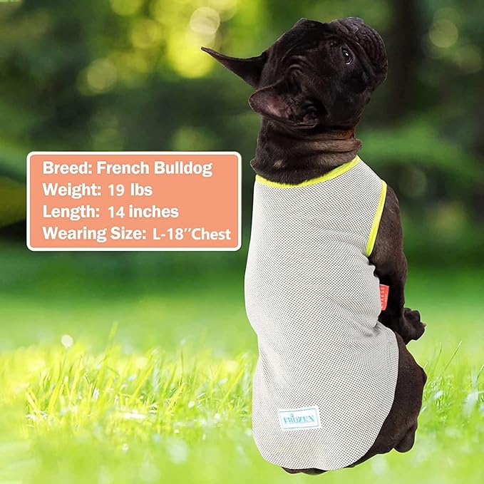 KYEESE 2 Pack Dog Cooling Shirts - Breathable Instant Cooling Vests, Lightweight for Summer Dog Apparel, Blue+Grey, Small