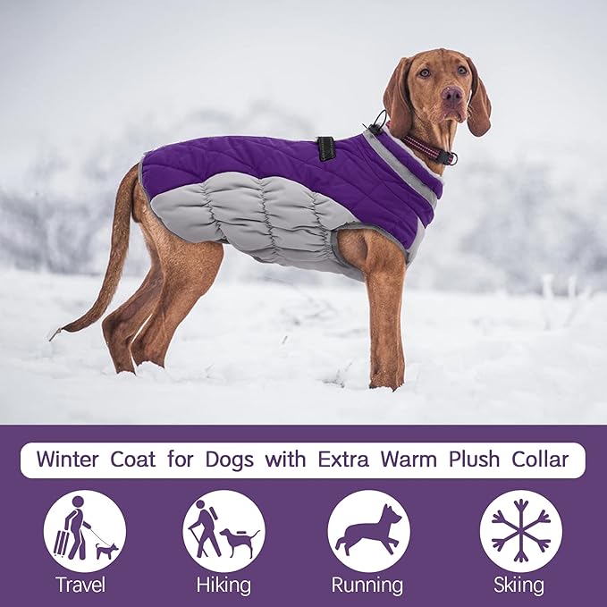FUAMEY Warm Dog Jacket, Winter Coat with Padded Fleece, Reflective Vest, Built-in Harness, Waterproof & Windproof, Purple, Large