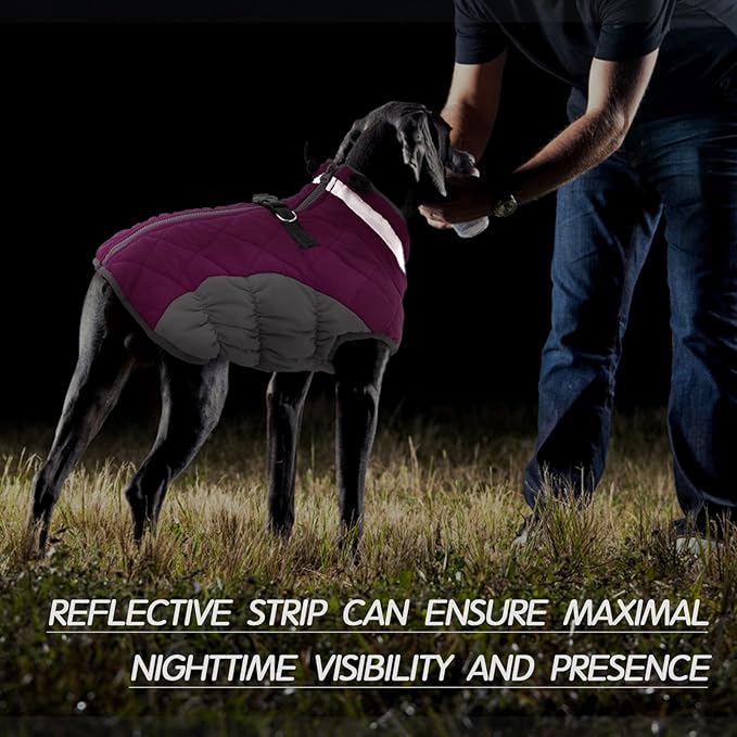 FUAMEY Dog Coat - Warm Winter Jacket with Padded Fleece, Reflective, Waterproof & Windproof, Built-in Harness, Rose Red, Large
