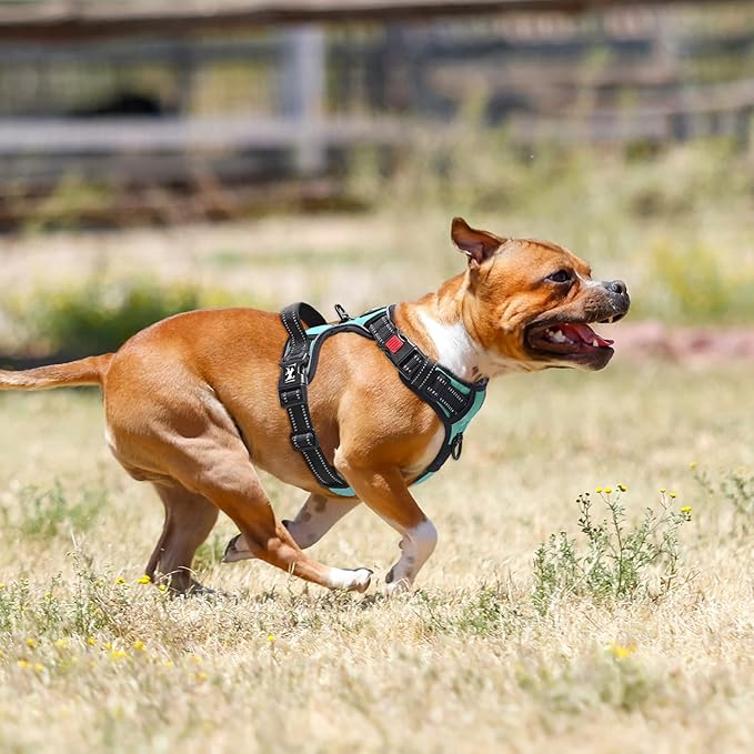PoyPet No Pull Dog Harness, No Choke Front Clip Dog Reflective Harness, Adjustable Soft Padded Pet Vest with Easy Control Handle for Small to Large Dogs(Mint Blue,L)