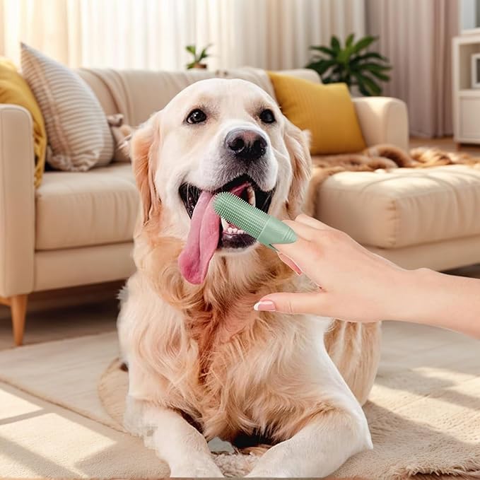 Pet Dental Care Set - Silicone Toothbrush and Finger Brush Set for Dogs and Cats with 1 Matching Finger Brush for Removing Food Debris and Freshening Breath (Blue/Green/Beige) (Blue, Medium)