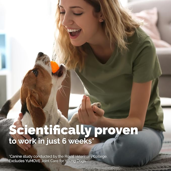 YuMOVE Hip and Joint Supplement for Dogs with Glucosamine, Green Lipped Mussel, Chondroitin, MSM, Omega 3 & Hyaluronic Acid - Joint Support Supplement - for Adult Dogs 300 Tablets