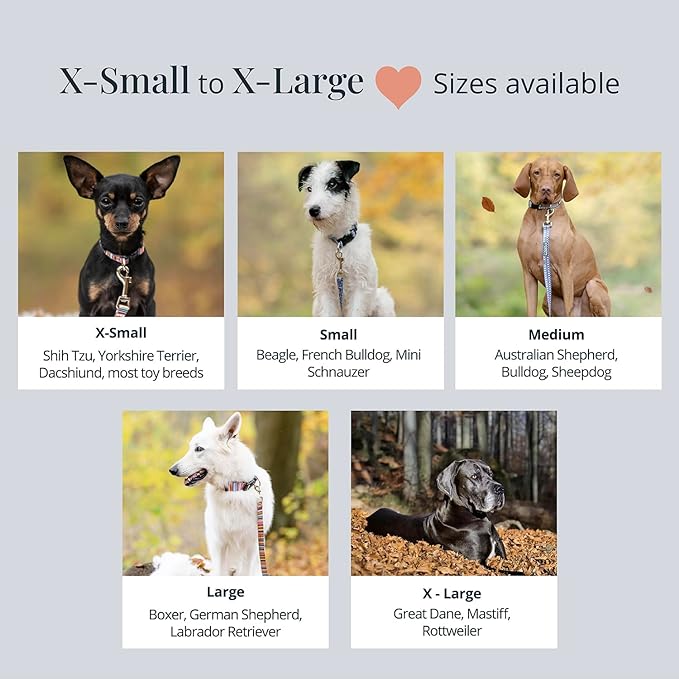 Lucky Love Dog - Adjustable Dog Collar with Easy Click Buckle for Small to Large Dogs, Durable, & Comfortable for Male & Female Dogs, Pet Collar for Puppies & Adult Ones - Nacho, Medium