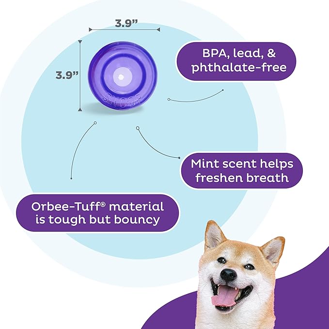 Outward Hound by Planet Dog Lil' Snoop Durable Interactive Treat Dispensing Dog Toy, Small, Purple