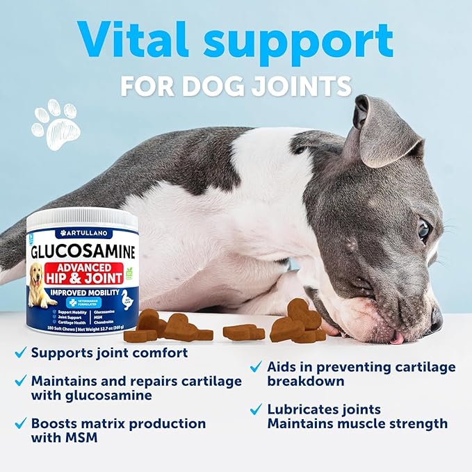 Glucosamine for Dogs - Hip and Joint Supplement for Dogs with Arthritis - Chews with Chondroitin, Hemp Oil, MSM - Canine Joint Pain Relief Health - Mobility Support for Large Breeds - 120 Soft Treats