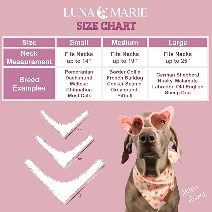 Luxury Pet Birthday Bandanas -Premium & Silky Poly Fabric | 100% Handmade | Custom Shape Dual Layered (Xena, Medium)