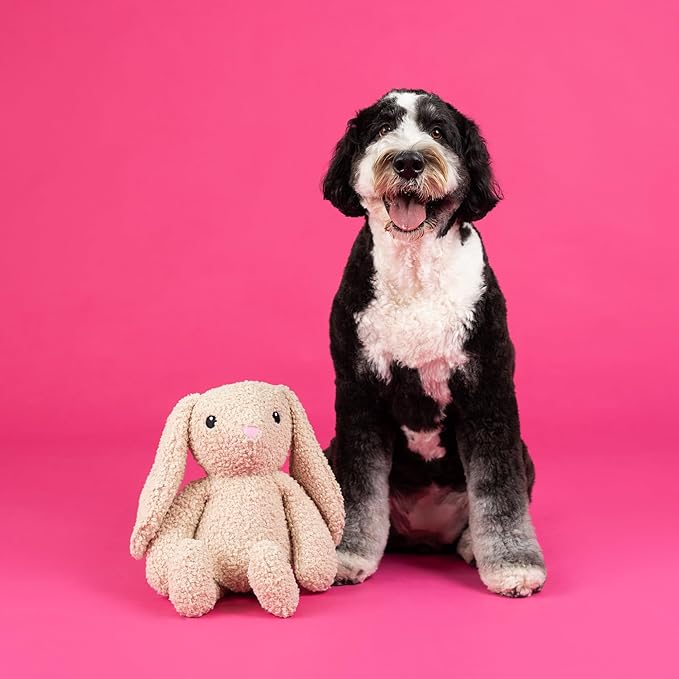 Fringe Studio Large Plush Dog Toy, Hoppy to See You, Pet Shop Collection (728034)