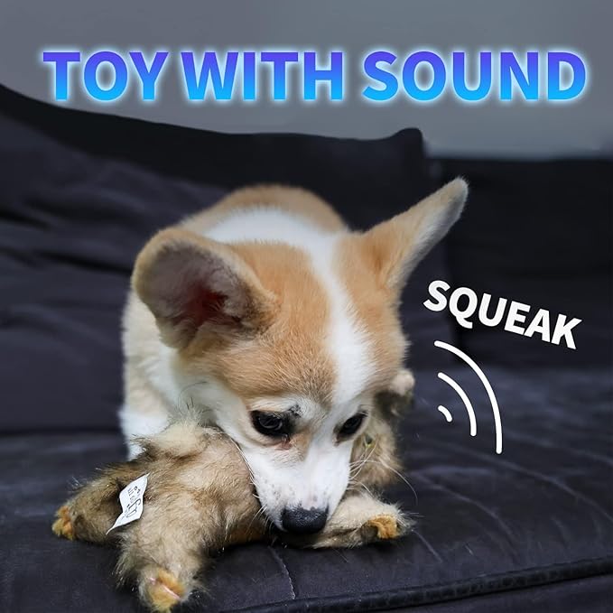 ALL FOR PAWS Squeaky Dog Toys,Animal Plush Dog Toy,Stuffed Dog Toys,Puppy Toys for Teething Small Dogs