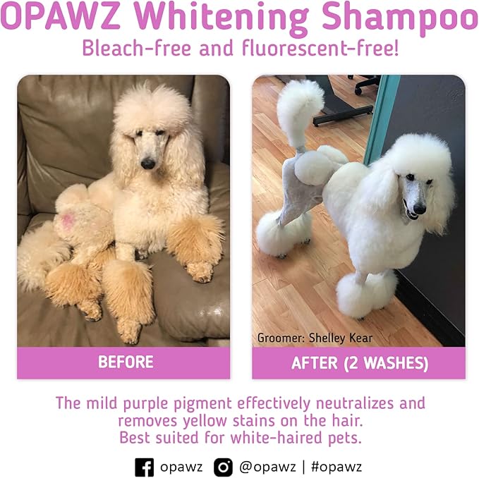OPAWZ Whitening Purple Shampoo for Dog and Cat, Safely Remove Yellow Stains, with No Bleach, Peroxide and Sulfate, Professional Groomers Recommended Product, 16.9 oz