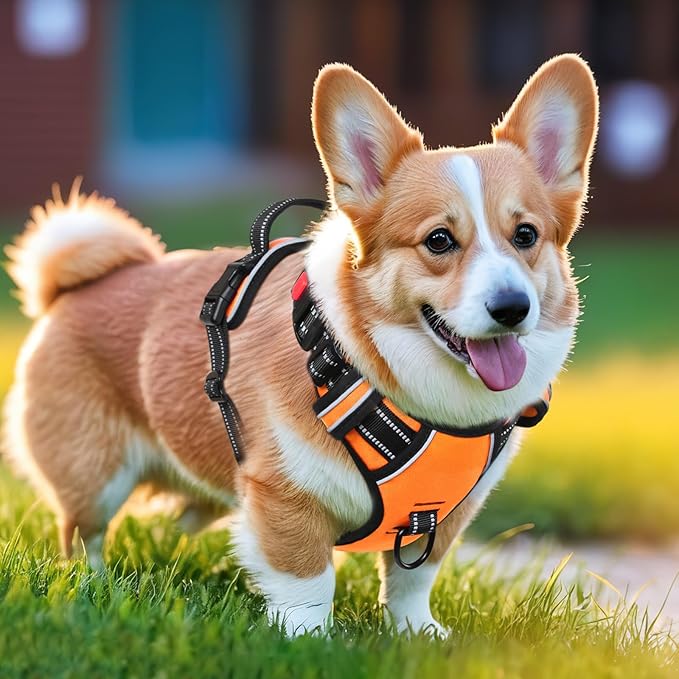 Timos Dog Harness Small Sized, No Pull with Neck Lockable Snap,No Choke Front Clip Dog Reflective Harness,Adjustable Metal Rings 3 Buckles,Easy Control Handle for Small Dogs Orange XS