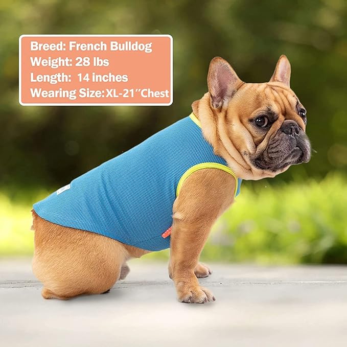 KYEESE 2 Pack Dog Cooling Shirts - Breathable Instant Cooling Vests, Lightweight for Summer Dog Apparel, Blue+Grey, Small