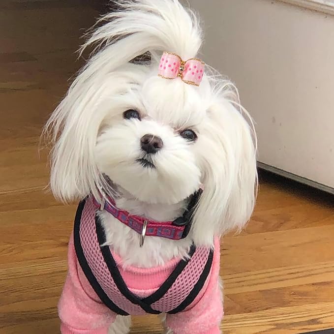 Yxiang 24PCS Dog Hair Bows, Pink Cute Dog Hair Bows Yorkie Puppy Bows with Rubber Band Pet Grooming Bows Colored Polka Dot Dog Hair Accessories for Small Dogs