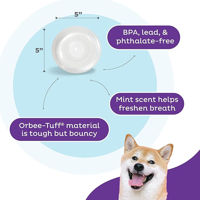 Outward Hound by Planet Dog Snoop Durable Interactive Treat Dispensing Dog Toy, Large, White