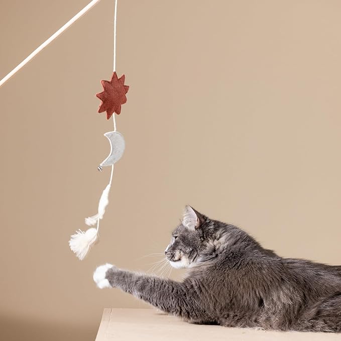 Fringe Studio "Happy Skies Teaser Cat Toy, PetShop Collection (717002)