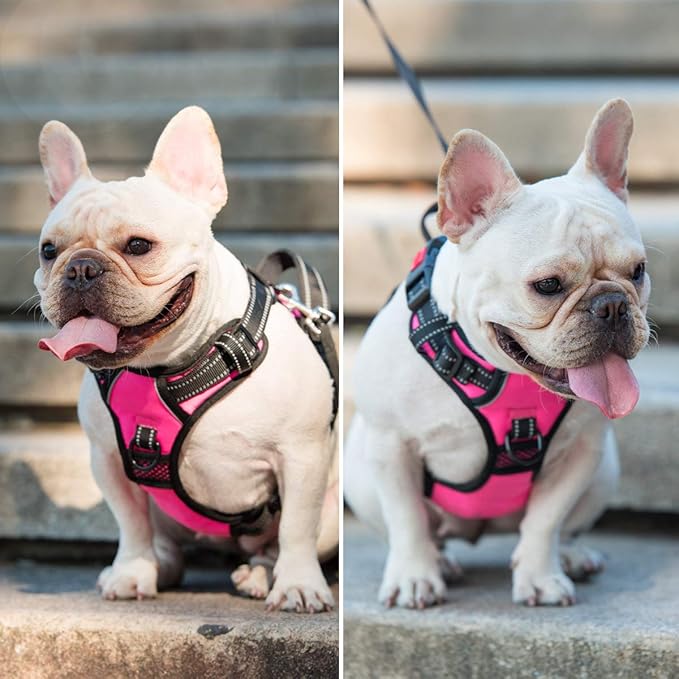PoyPet No Pull Dog Harness, No Choke Front Clip Dog Reflective Harness, Adjustable Soft Padded Pet Vest with Easy Control Handle for Small to Large Dogs(Pink,L)