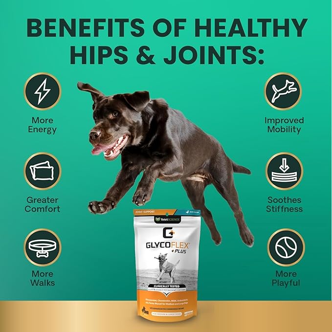 VetriScience GlycoFlex Ultimate Strength Healthy Hip & Joint Glucosamine Supplements for Dogs, with MSM, Chondroitin & Green-Lipped Mussel, Soft Chews, Bacon, 120 Count - New Look