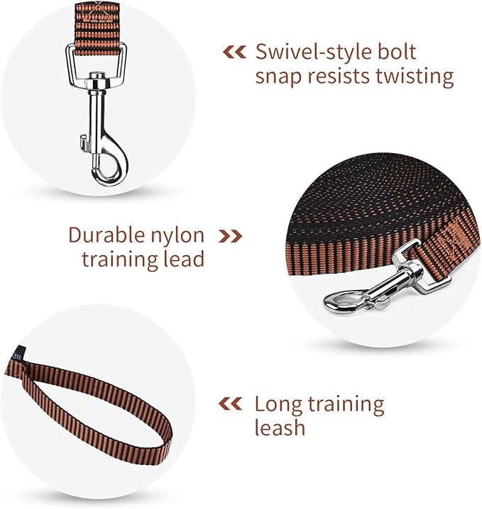 Hi Kiss Dog/Puppy Obedience Recall Training Agility Lead - 15ft 20ft 30ft 50ft 100ft Training Leash - Great for Training, Play, Camping, or Backyard(30ft,Black_Orange)