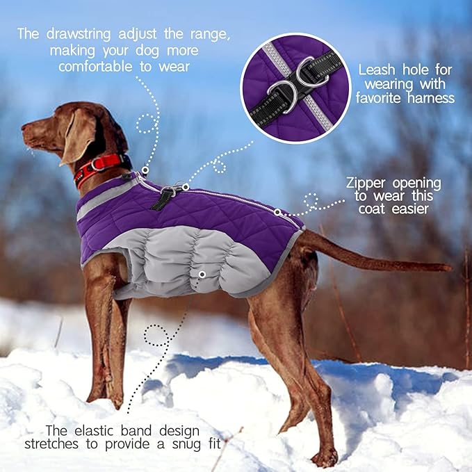 FUAMEY Warm Dog Jacket, Winter Coat with Padded Fleece, Reflective Vest, Built-in Harness, Waterproof & Windproof, Purple, Large