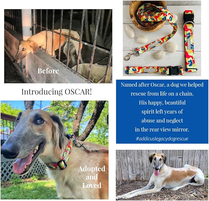 Lucky Love Dog - Adjustable Dog Collar with Easy Click Buckle for Small to Large Dogs, Durable, & Comfortable for Male & Female Dogs, Pet Collar for Puppies & Adult Ones - Oscar, Medium