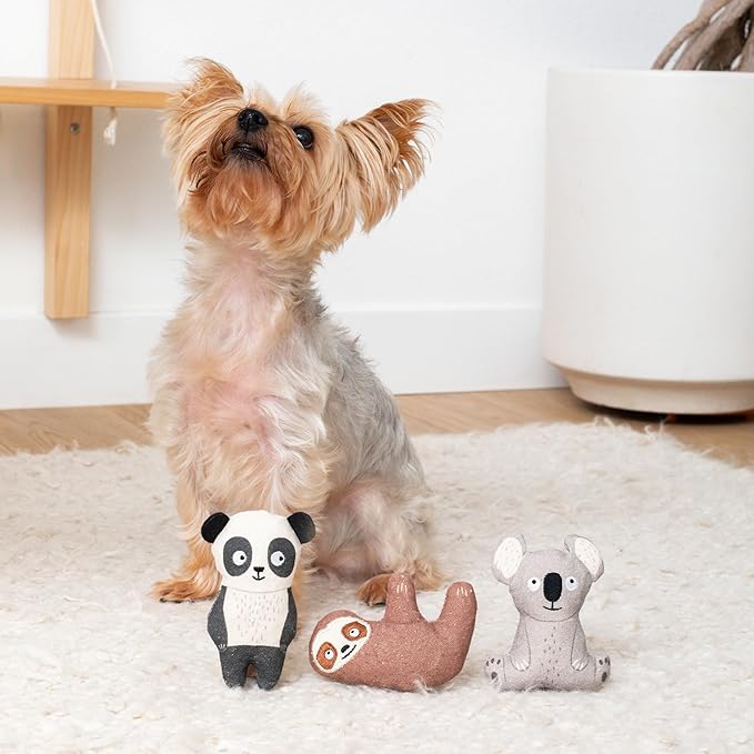 Fringe Studio "Cuddle Buddies Canvas Mini Dog Toy Set of 3, PetShop Collection (521023)