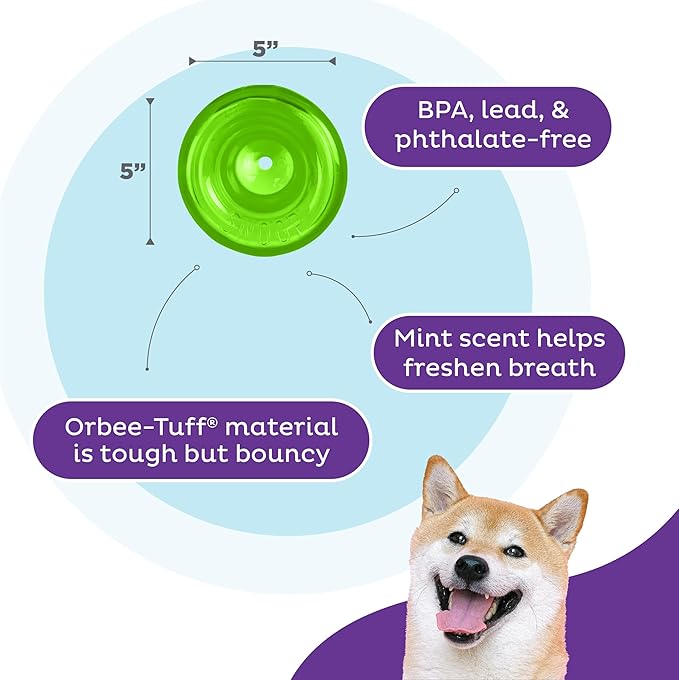 Outward Hound by Planet Dog Snoop Durable Interactive Treat Dispensing Dog Toy, Large, Green