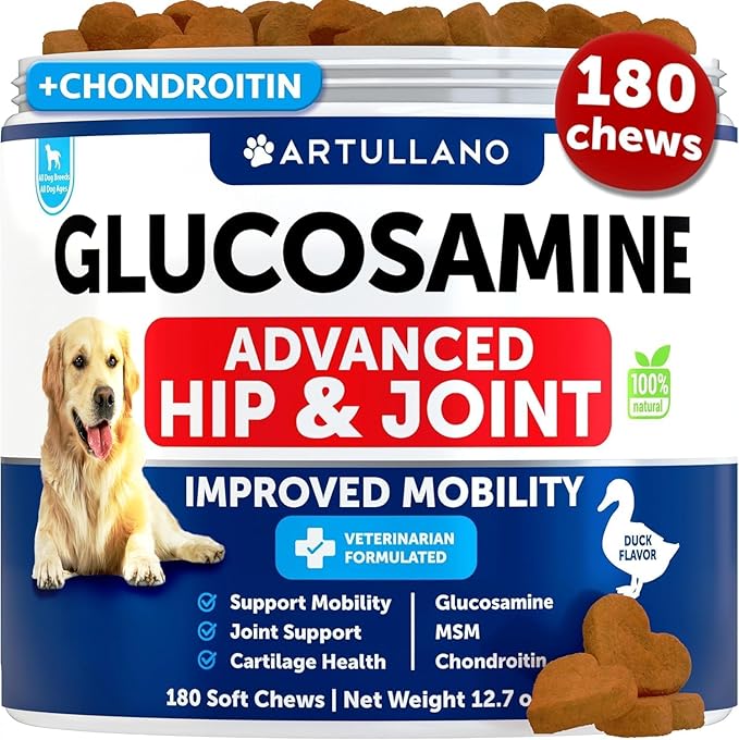 Glucosamine for Dogs - Hip and Joint Supplement for Dogs with Arthritis - Chews with Chondroitin, Hemp Oil, MSM - Canine Joint Pain Relief Health - Mobility Support for Large Breeds - 120 Soft Treats