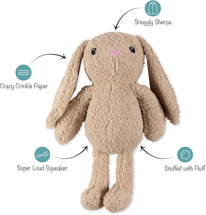 Fringe Studio Large Plush Dog Toy, Hoppy to See You, Pet Shop Collection (728034)