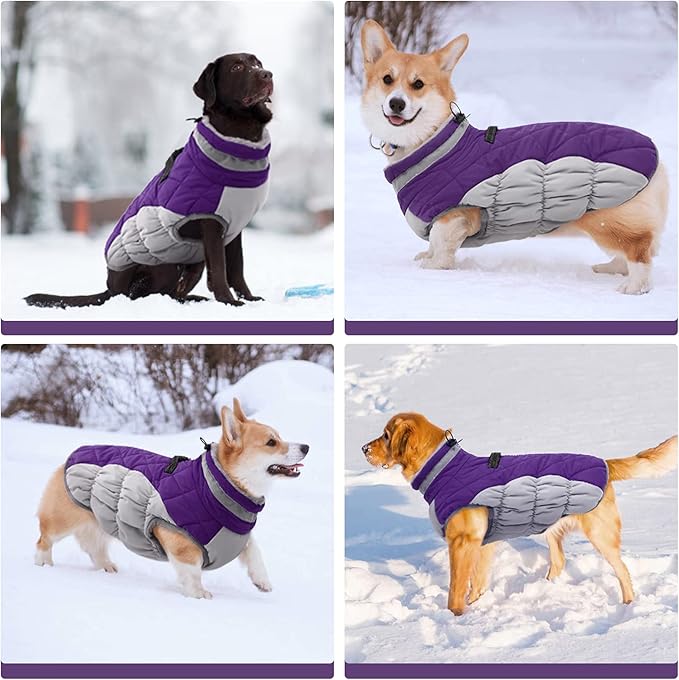 FUAMEY Warm Dog Jacket, Winter Coat with Padded Fleece, Reflective Vest, Built-in Harness, Waterproof & Windproof, Purple, Large