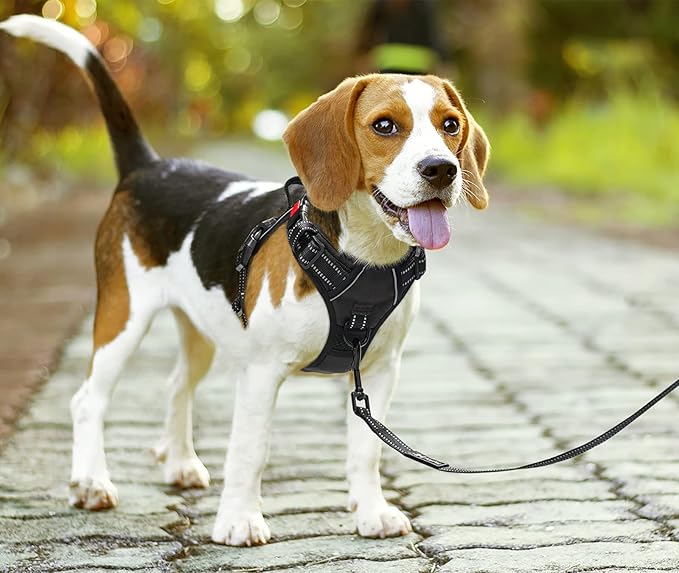 PoyPet No Pull Dog Harness, No Choke Front Lead Dog Reflective Harness, Adjustable Soft Padded Pet Vest with Easy Control Handle for Small to Large Dogs(Black,S)
