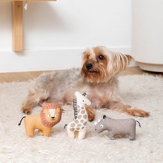 Fringe Studio "Feeling Wild Canvas Mini Dog Toy Set of 3, PetShop Collection (521022)