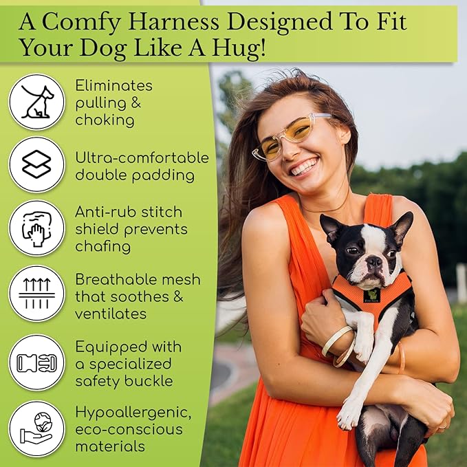 Classic Dog Harness Innovative Mesh No Pull No Choke Design Soft Double Padded Breathable Vest for Eco-Friendly Easy Control Walking Quick Release for Puppies Toy Breeds & Small Dogs (Small, Orange)