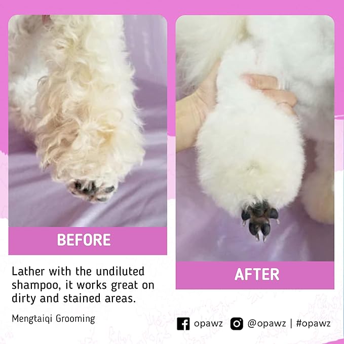 OPAWZ Whitening Purple Shampoo for Dog and Cat, Safely Remove Yellow Stains, with No Bleach, Peroxide and Sulfate, Professional Groomers Recommended Product, 16.9 oz