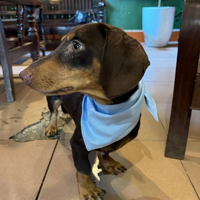 Premium Solid Blue Dog Bandana, Luxury Soft Cotton Adjustable Triangle Scarf for Large Dogs, Comfortable, Stylish, and Customizable for All Seasons, Dog Accessories