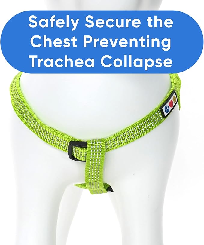 Pawtitas Extra Small Dog Harness - Green, Reflective, Adjustable Step-in Harness for Senior Dogs to Puppies