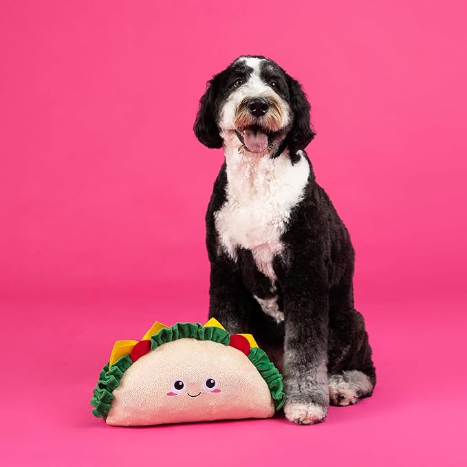 Fringe Studio Large Plush Dog Toy, FANTAS-Taco!, Pet Shop Collection (728023)