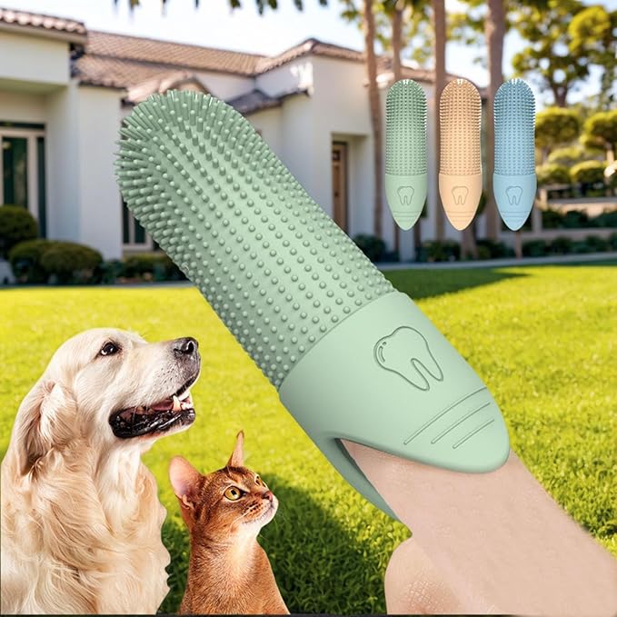 Pet Dental Care Set - Silicone Toothbrush and Finger Brush Set for Dogs and Cats with 1 Matching Finger Brush for Removing Food Debris and Freshening Breath (Blue/Green/Beige) (Green, Medium)