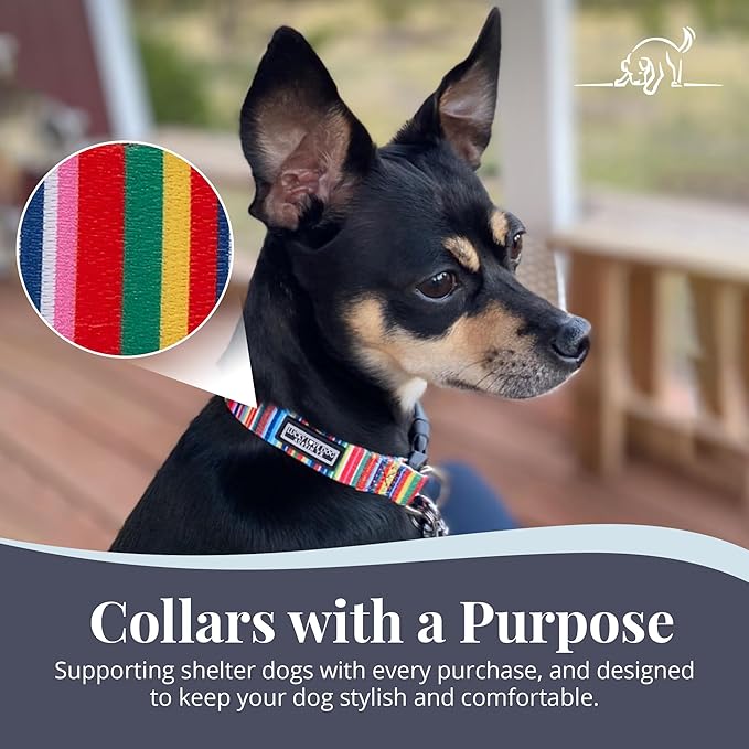 Lucky Love Dog - Adjustable Dog Collar with Easy Click Buckle for Small to Large Ones, Durable, & Comfortable for Male & Female Dogs, Pet Collar for Puppies & Adult Dogs - Hippie, Medium