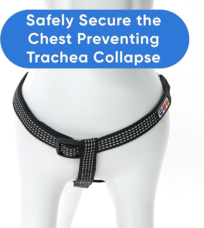 Pawtitas Extra Small Dog Harness Black Dog Harness Step in from a Senior Dog to a Puppy Harness Adjustable Reflective Dog Harness XS Reflective Dog Vest