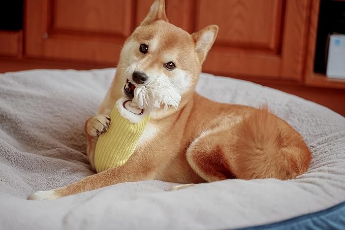 Squeaky Dog Plush Toy, Bakery Bite_Stick Collection, 12", for Various Sized Dogs (Swiss Roll, Large)
