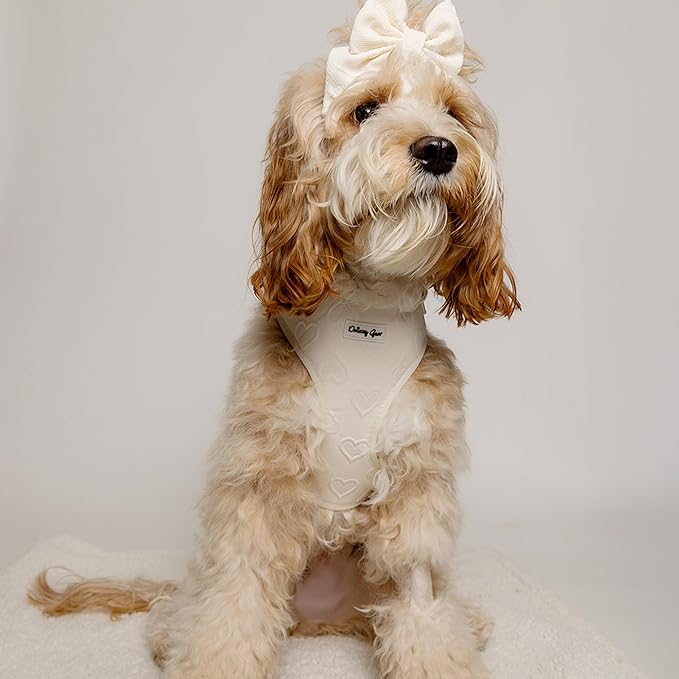 Large Dog Harness Set – No Pull Harness with Matching Leash, Collar, Bandana, Sailor Bow & Poop Bag Holder – Pastel Cream with Heart Embroidery – Adjustable, Soft, Aesthetic Outfit