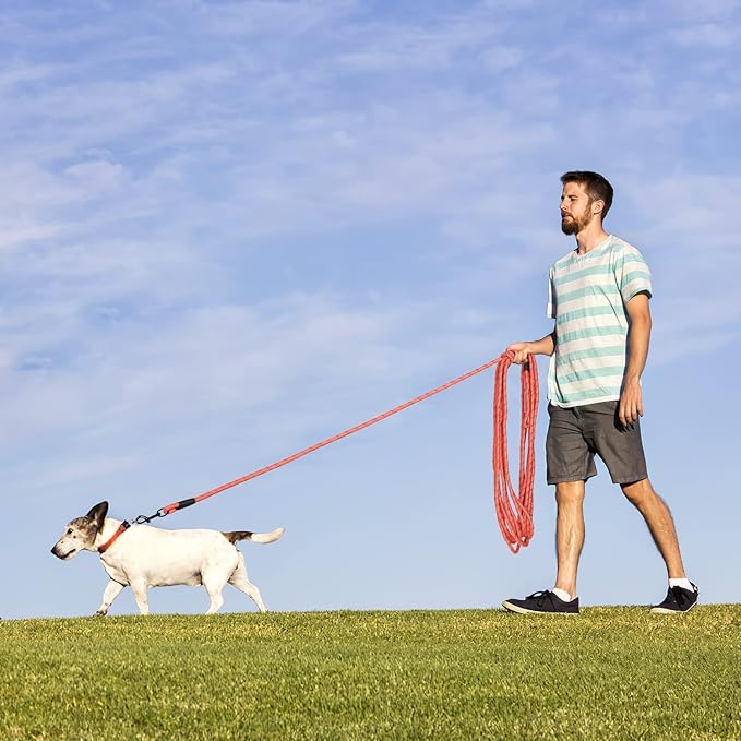 Long Dog Leash for Training 50Ft-Reflective Nylon Rope with Swivel Hook-Recall Agility Lead for Large Small Medium Dogs Outside Walking Hiking-Orange Diam 1/2"