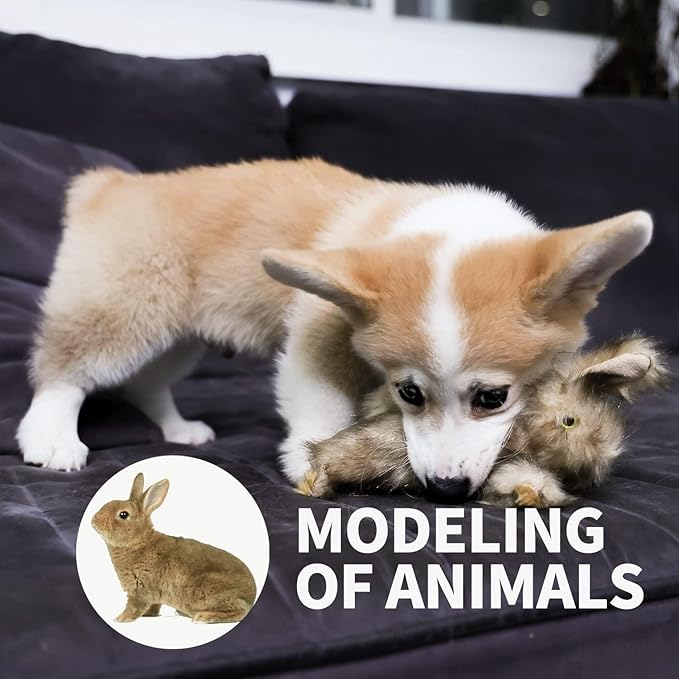 ALL FOR PAWS Squeaky Dog Toys,Animal Plush Dog Toy,Stuffed Dog Toys,Puppy Toys for Teething Small Dogs