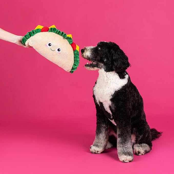 Fringe Studio Large Plush Dog Toy, FANTAS-Taco!, Pet Shop Collection (728023)