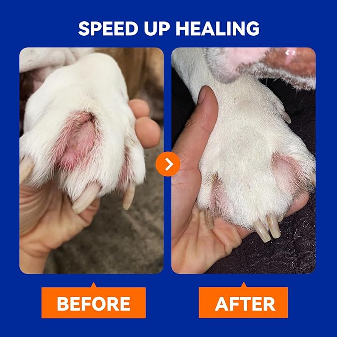 Hot Spot Treatment for Dogs and Cats, Pet Skin Treatment Spray, Dog Licking Paws Treatment, Anti Itch Relief, Allergies, Infections, No Chew Spray for Dogs Treatment Wound Spray for All Animals, 8oz