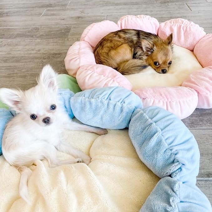 TONBO Soft Plush Small Cute and Cozy Nature Dog Cat Bed, Washer and Dryer Friendly (Blue Flower)