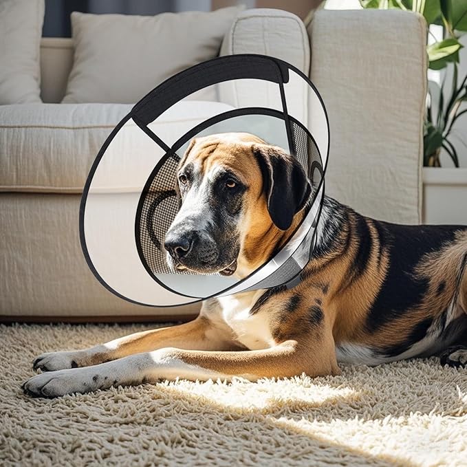 Dog Cone Collar for Large Dogs After Surgery, Mesh Windows PVC Transparent Dog Cone E Collar for Dog, Anti-Bite Lick Wound Healing Neuter Safety Practical Comfy Plastic Cone XXL